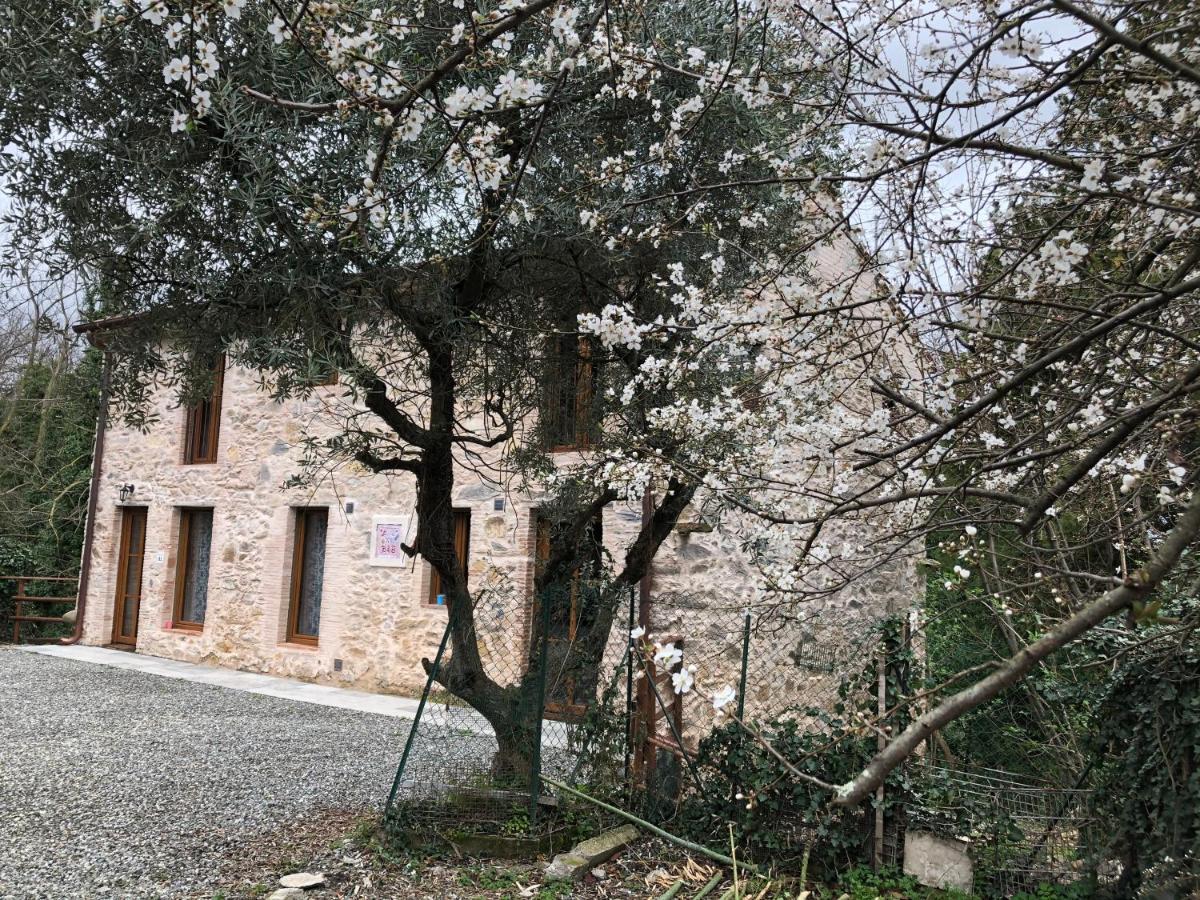 Dolce Vita In Tuscany Cottage คาปานโนริ ภายนอก รูปภาพ