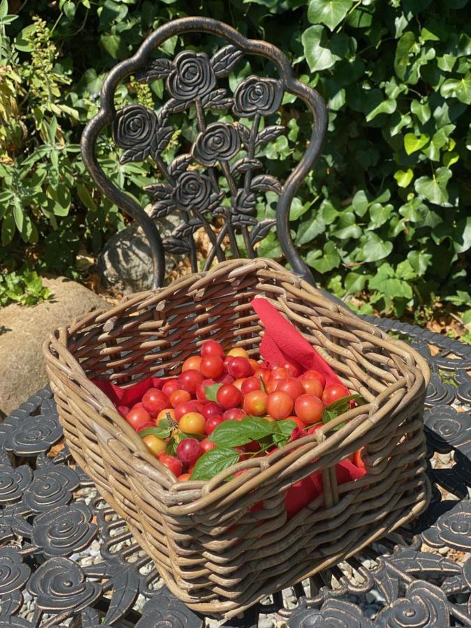 Dolce Vita In Tuscany Cottage คาปานโนริ ภายนอก รูปภาพ