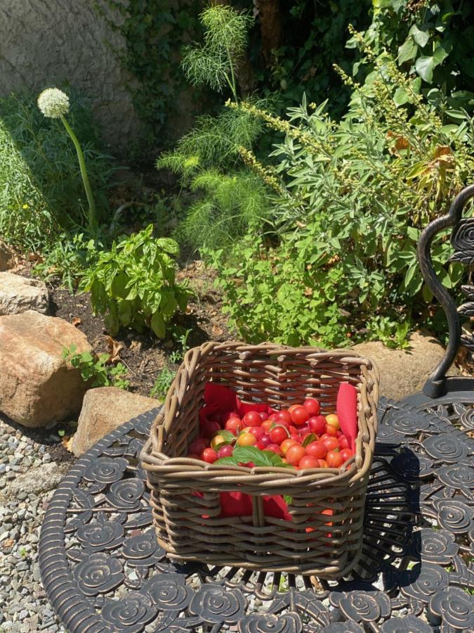 Dolce Vita In Tuscany Cottage คาปานโนริ ภายนอก รูปภาพ