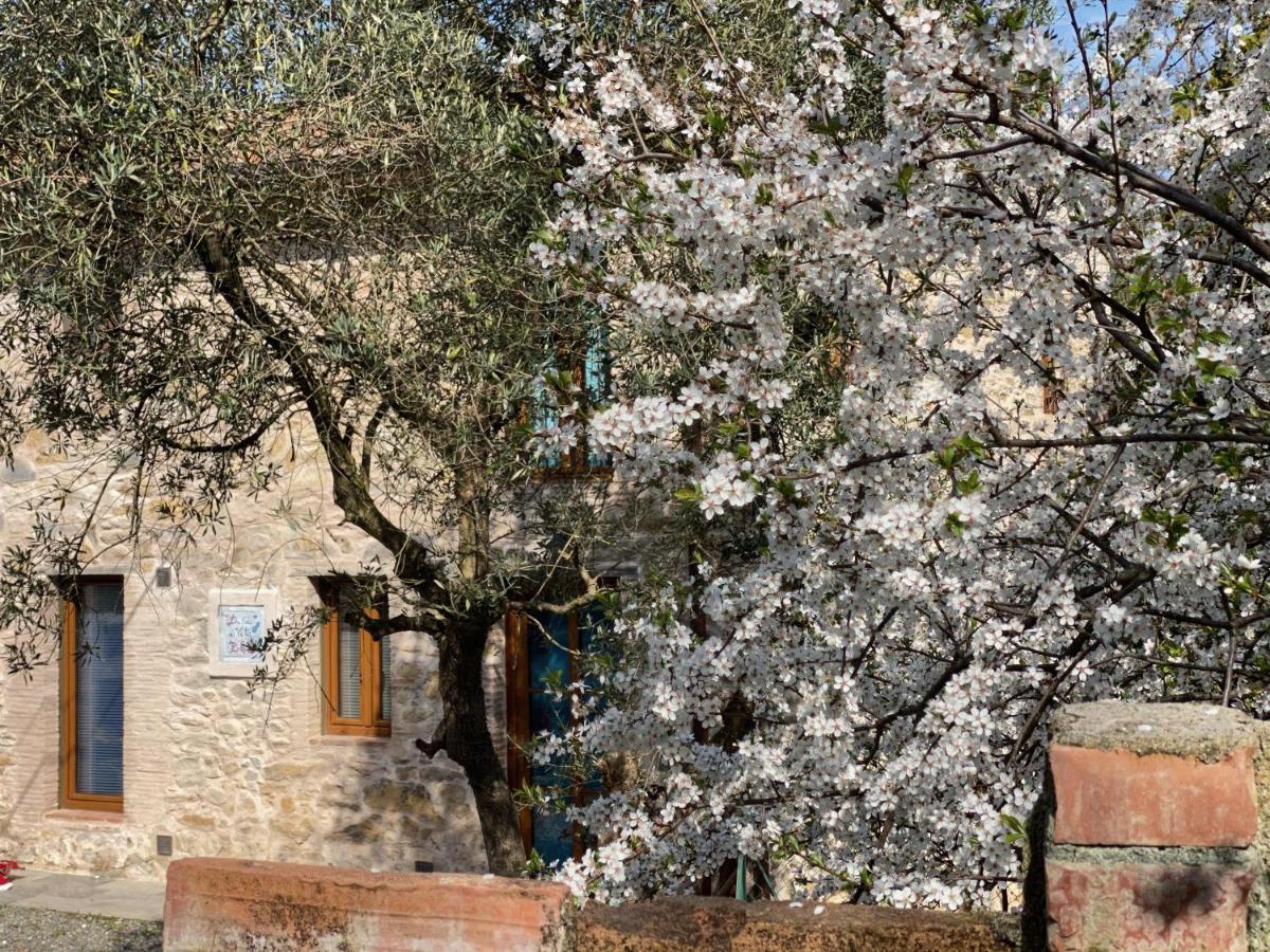 Dolce Vita In Tuscany Cottage คาปานโนริ ภายนอก รูปภาพ
