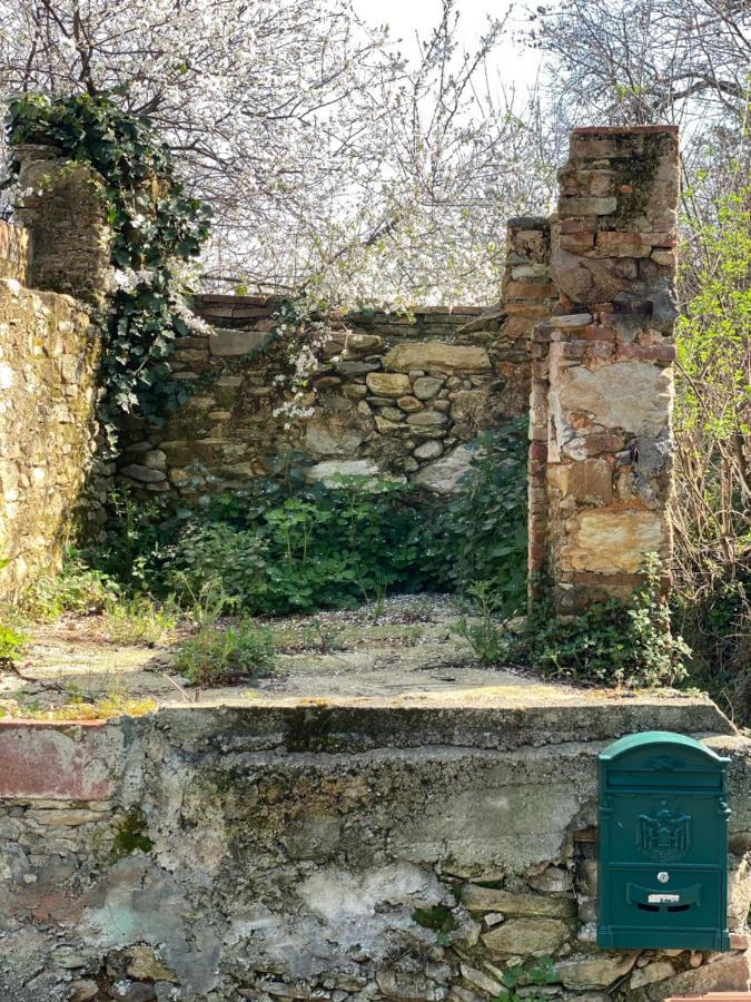 Dolce Vita In Tuscany Cottage คาปานโนริ ภายนอก รูปภาพ