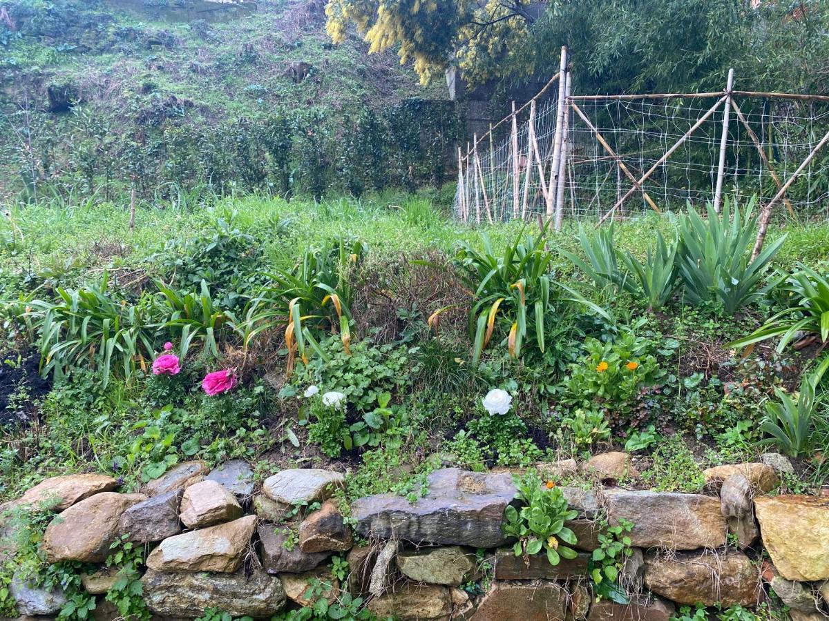Dolce Vita In Tuscany Cottage คาปานโนริ ภายนอก รูปภาพ