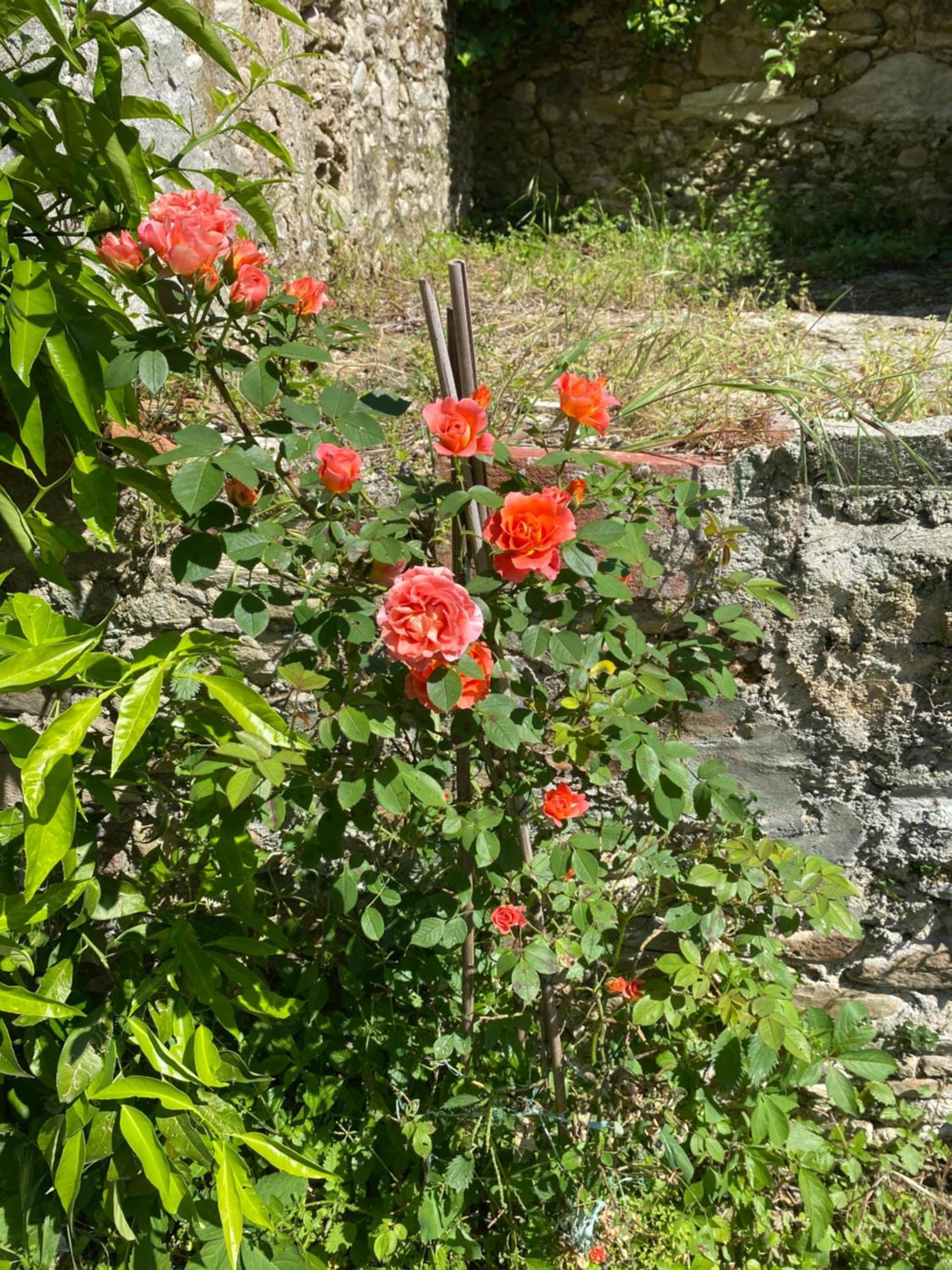 Dolce Vita In Tuscany Cottage คาปานโนริ ภายนอก รูปภาพ